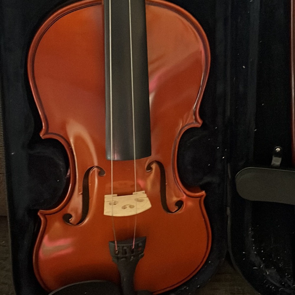 Violin with case